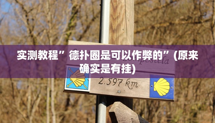 实测教程”德扑圈是可以作弊的”(原来确实是有挂)
