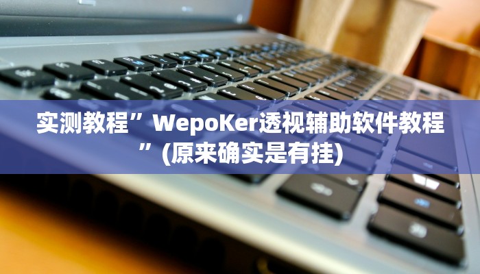 实测教程”WepoKer透视辅助软件教程”(原来确实是有挂)