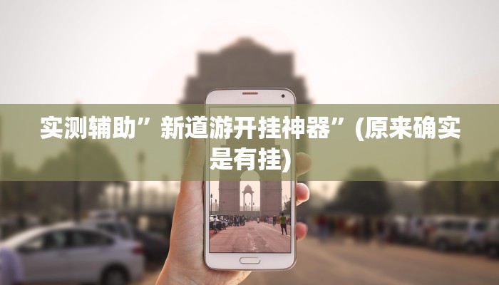 实测辅助”新道游开挂神器”(原来确实是有挂)