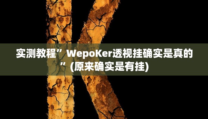 实测教程”WepoKer透视挂确实是真的”(原来确实是有挂)