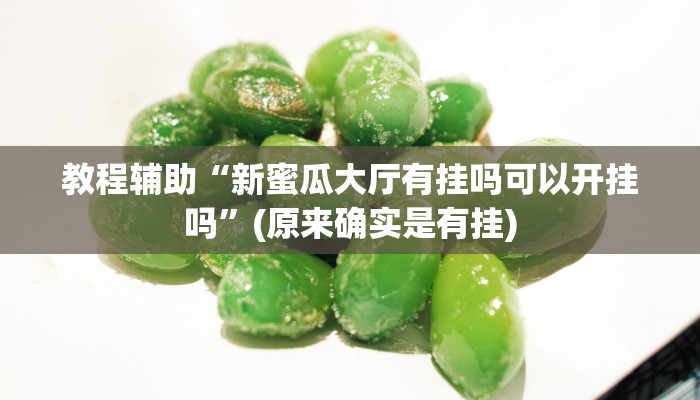 教程辅助“新蜜瓜大厅有挂吗可以开挂吗”(原来确实是有挂)