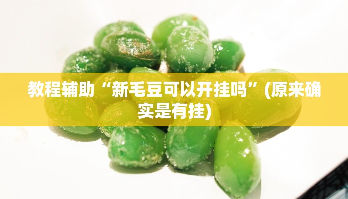 教程辅助“新毛豆可以开挂吗”(原来确实是有挂)
