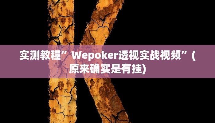 实测教程”Wepoker透视实战视频”(原来确实是有挂)