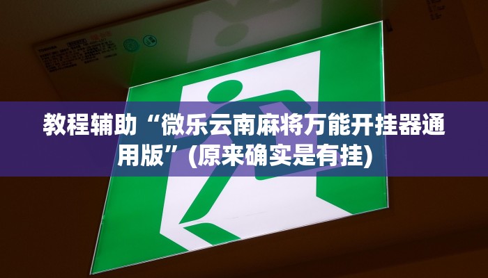 教程辅助“微乐云南麻将万能开挂器通用版”(原来确实是有挂)