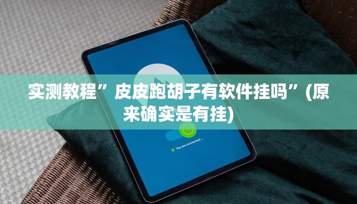 实测教程”皮皮跑胡子有软件挂吗”(原来确实是有挂)