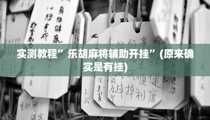 实测教程”乐胡麻将辅助开挂”(原来确实是有挂)