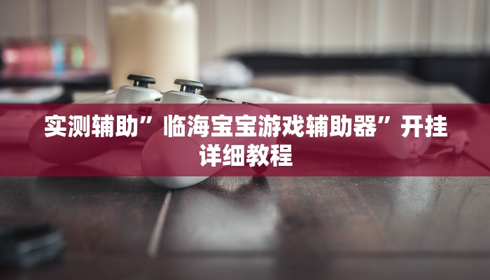 实测辅助”临海宝宝游戏辅助器”开挂详细教程