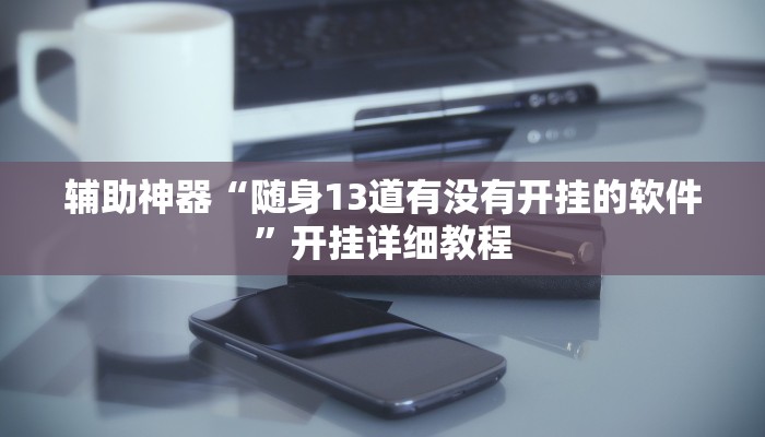 辅助神器“随身13道有没有开挂的软件”开挂详细教程