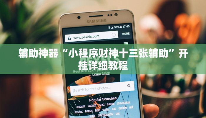 辅助神器“小程序财神十三张辅助”开挂详细教程