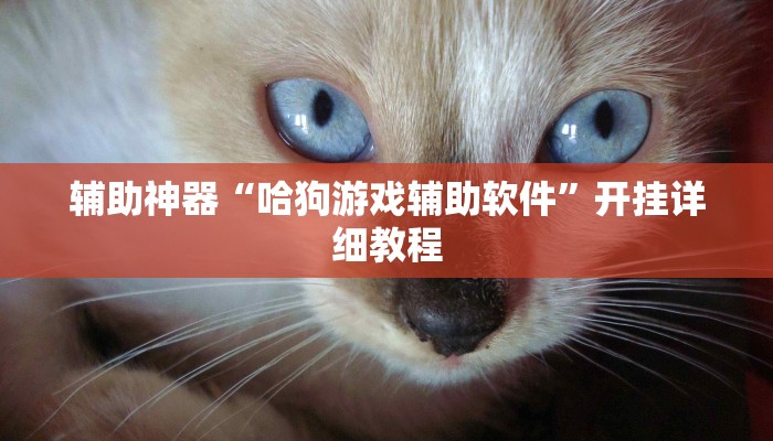 辅助神器“哈狗游戏辅助软件”开挂详细教程