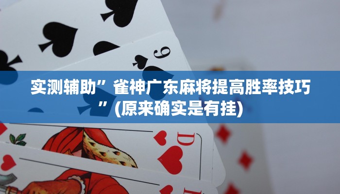 实测辅助”雀神广东麻将提高胜率技巧”(原来确实是有挂)