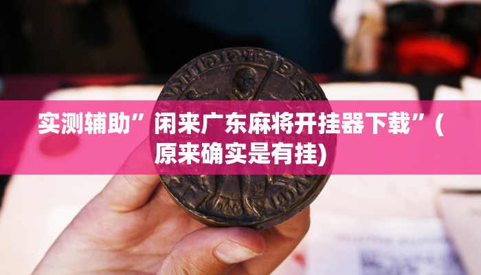 实测辅助”闲来广东麻将开挂器下载”(原来确实是有挂)