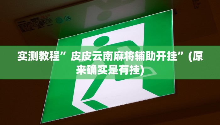 实测教程”皮皮云南麻将辅助开挂”(原来确实是有挂)