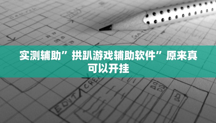 实测辅助”拱趴游戏辅助软件”原来真可以开挂
