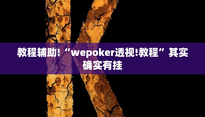 教程辅助!“wepoker透视!教程”其实确实有挂