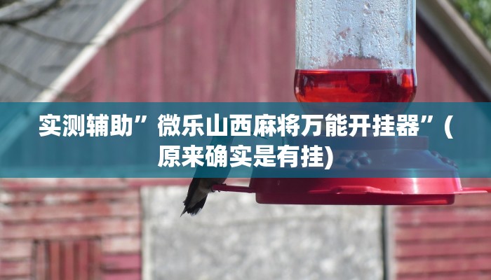 实测辅助”微乐山西麻将万能开挂器”(原来确实是有挂)