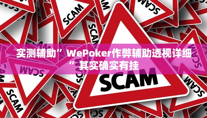 实测辅助”WePoker作弊辅助透视详细”其实确实有挂