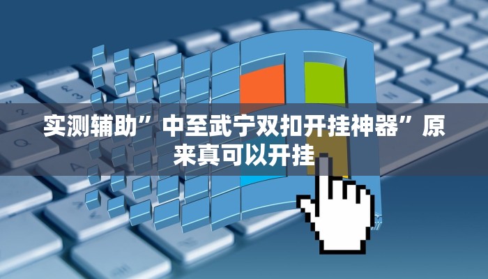 实测辅助”中至武宁双扣开挂神器”原来真可以开挂