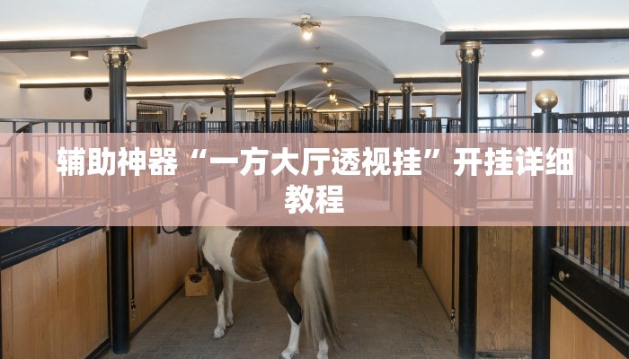 辅助神器“一方大厅透视挂”开挂详细教程