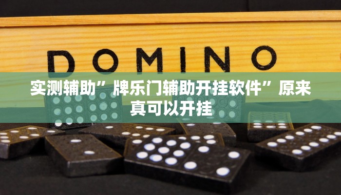 实测辅助”牌乐门辅助开挂软件”原来真可以开挂