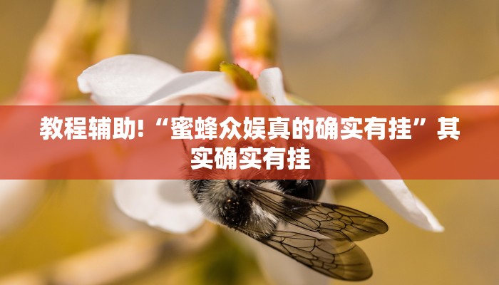 教程辅助!“蜜蜂众娱真的确实有挂”其实确实有挂