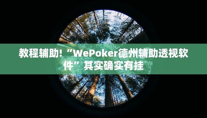 教程辅助!“WePoker德州辅助透视软件”其实确实有挂
