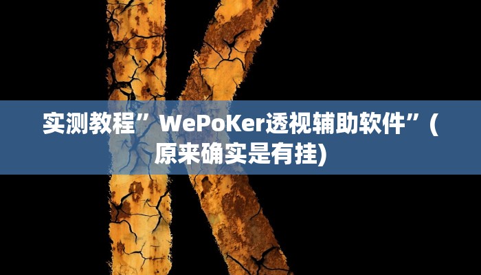 实测教程”WePoKer透视辅助软件”(原来确实是有挂)