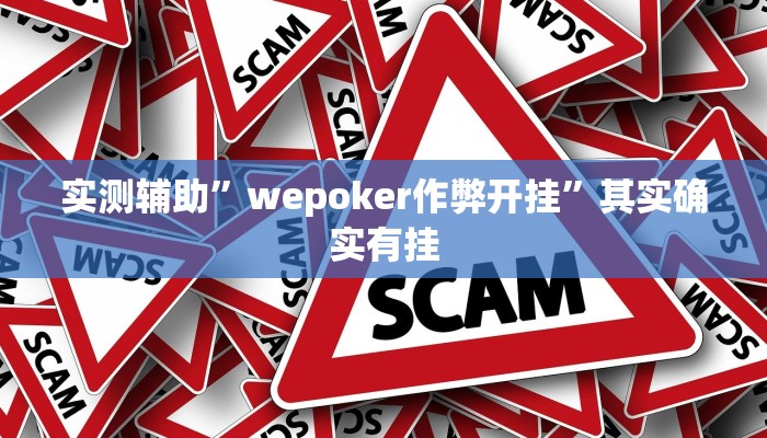 实测辅助”wepoker作弊开挂”其实确实有挂
