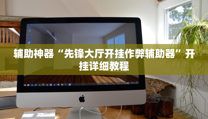 辅助神器“先锋大厅开挂作弊辅助器”开挂详细教程