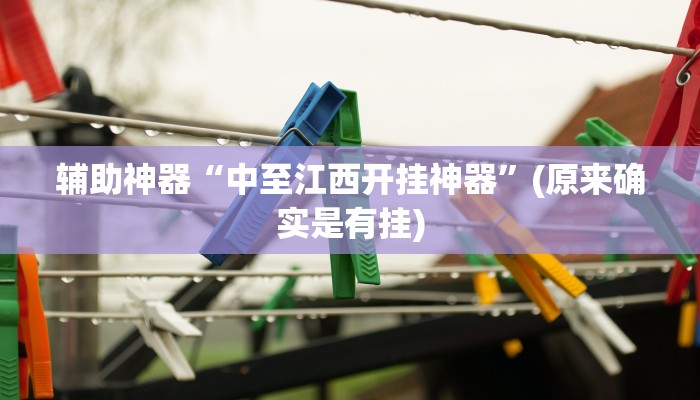 辅助神器“中至江西开挂神器”(原来确实是有挂)