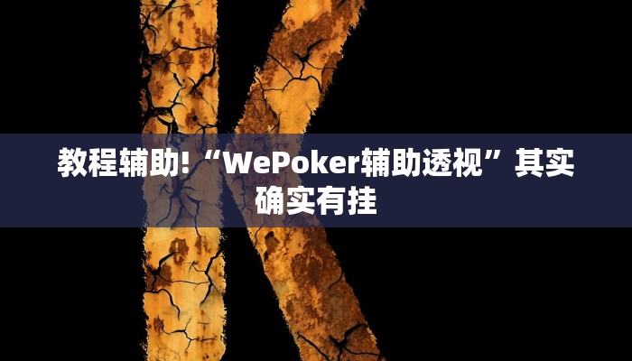 教程辅助!“WePoker辅助透视”其实确实有挂