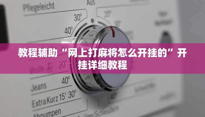 教程辅助“网上打麻将怎么开挂的”开挂详细教程