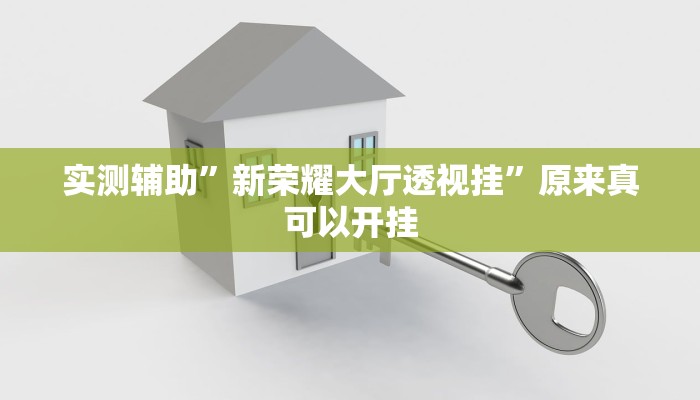 实测辅助”新荣耀大厅透视挂”原来真可以开挂