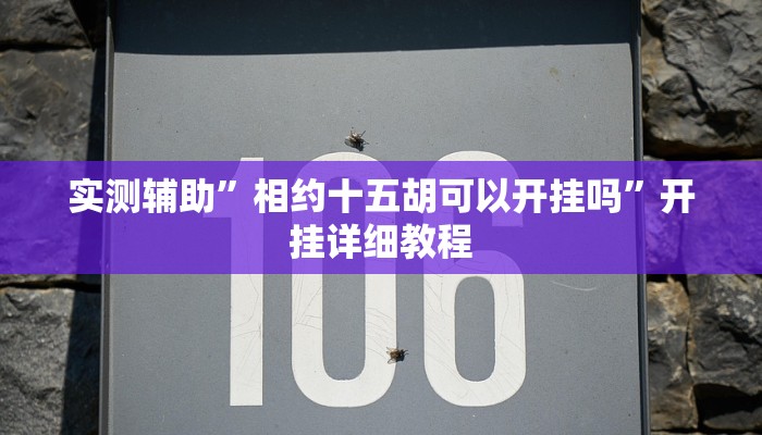 实测辅助”相约十五胡可以开挂吗”开挂详细教程