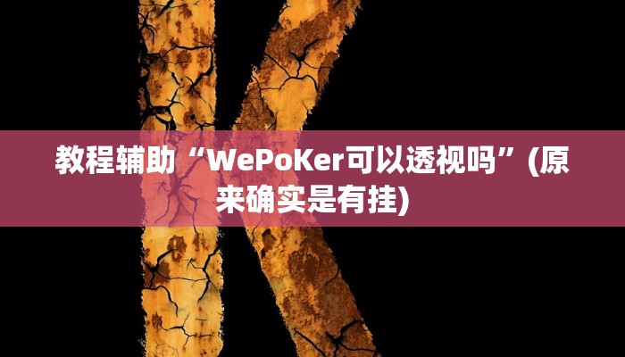 教程辅助“WePoKer可以透视吗”(原来确实是有挂)