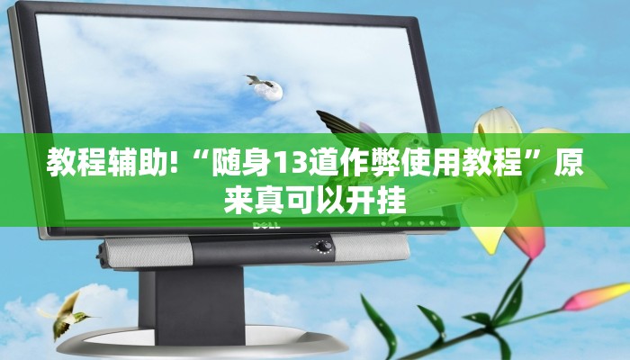 教程辅助!“随身13道作弊使用教程”原来真可以开挂