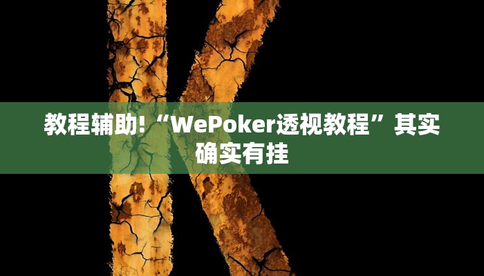 教程辅助!“WePoker透视教程”其实确实有挂