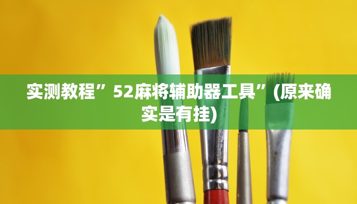 实测教程”52麻将辅助器工具”(原来确实是有挂)