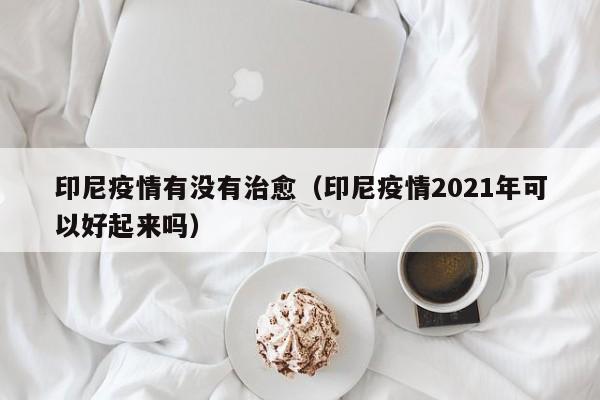 印尼疫情有没有治愈（印尼疫情2021年可以好起来吗）