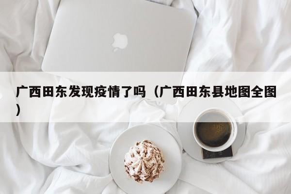广西田东发现疫情了吗（广西田东县地图全图）